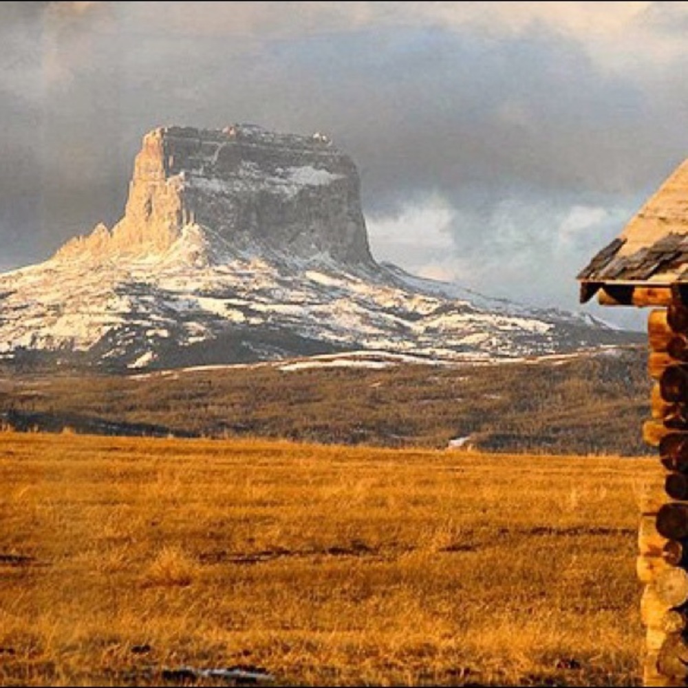 Meet your Posher, Renee